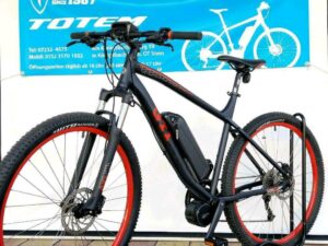 VW GTI 29Zoll e-bike